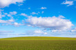 Green field and light blue sky with white cloud