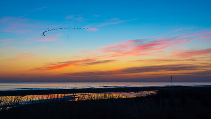 Wall Mural - Brightly colorful sunrise on the sea coast