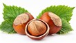 three hazelnuts with leaves isolated on white background