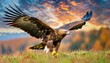 golden eagle aquila chrysaetos big bird of prey lands on autumn meadow with outstretched wings against colorful evening sky in background close up eagle in autumn landscape europe