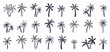 Vector collection of palm trees, hand-drawn in the style of doodles