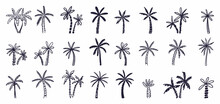 Vector Collection Of Palm Trees, Hand-drawn In The Style Of Doodles