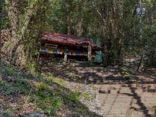 Poster - a small building in the middle of a forest next to a road