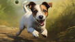 Playful Jack Russell terrier