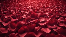 Large Amount Of Scarlet Red Rose Petals, Black Background