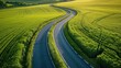Aerial view a highway in a green wheat field, shap of 