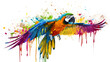 A flashy artistic macaw.
