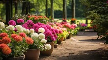 Meticulous Gardening, With Every Flower Perfectly Arranged