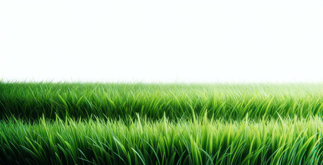 Poster - Thick green grass bordering a stark white horizon, embodying serenity and growth. Generative AI