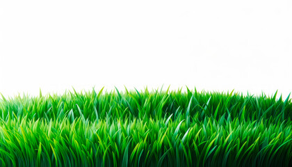 Poster - Vibrant green grass texture fading into a white mist, depicting environmental purity. Generative AI