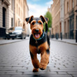 happy airedale terrier dog running in the city sidewalk. Generative Ai