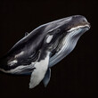 Majestic Baleen Whale Portrait Against Dark Background