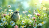 Fototapeta  - Mały ptak siedzący na szczycie bujnego zielonego pola rumianku