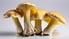A Group Of Mushrooms On A White Background