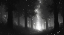 A Black And White Photo Of A Path Through A Forest At Night With Stars In The Sky Above The Trees.