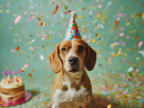 Fototapeta  - Best Birthday wishes from a cute beagle with party hat and birthday cake