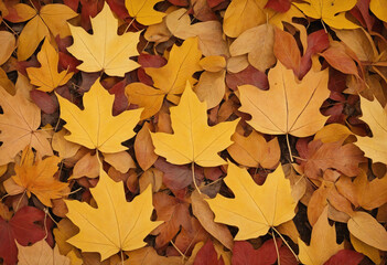 Wall Mural - Golden Autumn Bliss: Warm Hues and Soft Light Among Fall Leaves - 