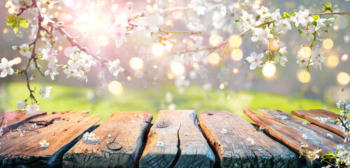 Wall Mural - Spring Table - Cherry Flowers On Branches In Abstract Defocused Background With Bokeh Lights