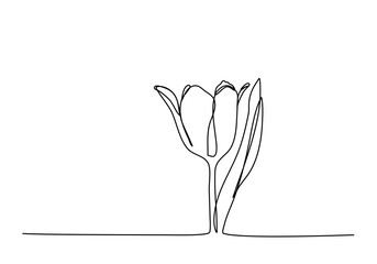 Wall Mural - Flower, one line drawing vector illustration.