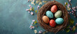 multicolour easter eggs in the nest on the dark background, cherry blossom 