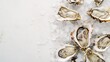 Fresh oysters on ice with a white background, top view. Ideal for seafood restaurants and healthy eating content.