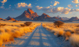 Fototapeta  - Endless gravel road. Spitzkoppe in a distance. Blue sky with clouds