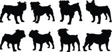 Bulldog Silhouettes Set. Vector Illustration