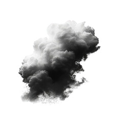 Canvas Print - Single Cloud Isolated