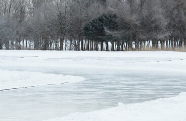 Wall Mural - outdoor ice skating rink with woodland background