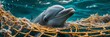 A cute dolphin caught in a fishing net with a big empty space for text, Generative AI.