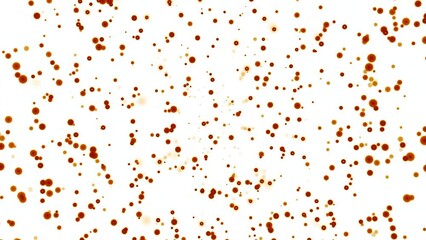 Poster - Animation with bubbles moving up on white background. Design. Colored bubbles rise in space. Stream of rising bubbles on white background