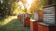 Portrait of several big Honey beehives in garden with empty space, Generative AI.