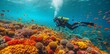 Scuba diver explores vibrant coral reef teeming with fish