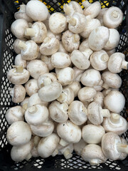 Poster - Champignon mushrooms on the counter in the market