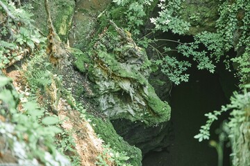 Wall Mural - A wild cave or grotto. Mountainous terrain. Summer time of the year. A rock in the shape of a cow's head