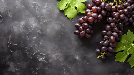 grape composition flat lay with free space for copy rock background