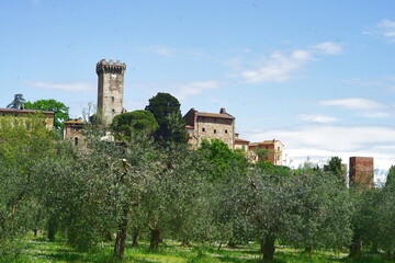 Wall Mural - Shin of the town of Vicopisano; Tuscany, Italy