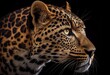 Female Leopard. Generative AI