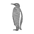 © ydhckll - Simple line art illustration of a penguin 3