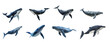 Set of blue whale on transparency background PNG