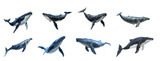 Set of blue whale on transparency background PNG