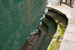 Stone Stairs covered with algae along a canal during low tide in Venice in Italy. Green Canal Water. Sinking Venice.