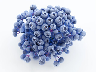 Wall Mural - blueberries, their deep blue hues and delicate frosty texture highlighted against a stark white background