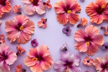 Vibrant Hibiscus Flowers Scattered Gracefully Against A Soft Purple Background