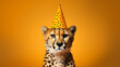 Funny cheetah with birthday party hat on background