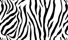 Zebra Skin Pattern Background Free Stock Photo - Public Domain Pictures