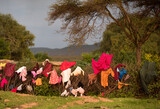 Fototapeta Sawanna - Pranie suszące się na płocie wioski Masajów w Masai Mara Kenia