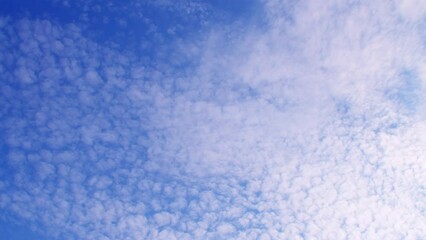 Wall Mural - Blue sky with high flying white altocumulus clouds. Background on the theme of weather and ecology.