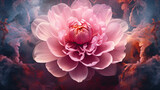 Fototapeta Kwiaty - A large pink flower with smoke