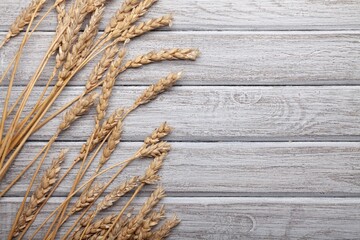 Poster - Wood cross and golden wheat on desk